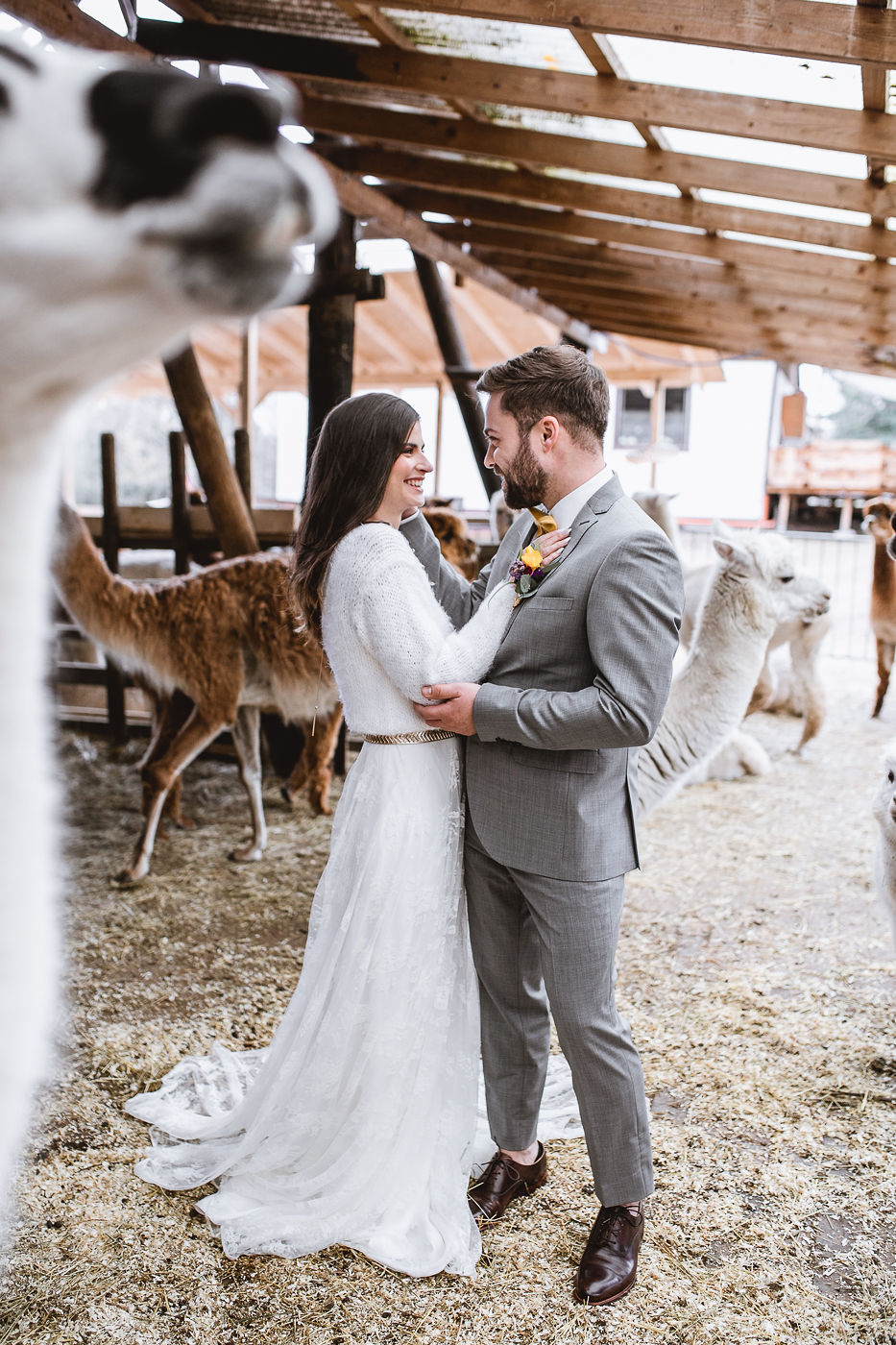 Alpaka Love Wedding Styled Shoot Annika und Gabriel Fotografie