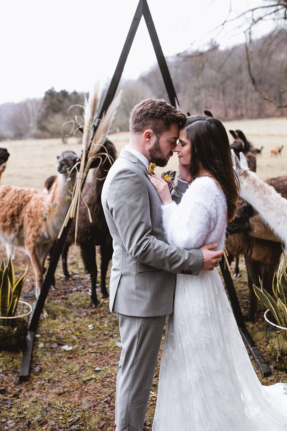 Alpaka Love Wedding Styled Shoot Annika und Gabriel Fotografie