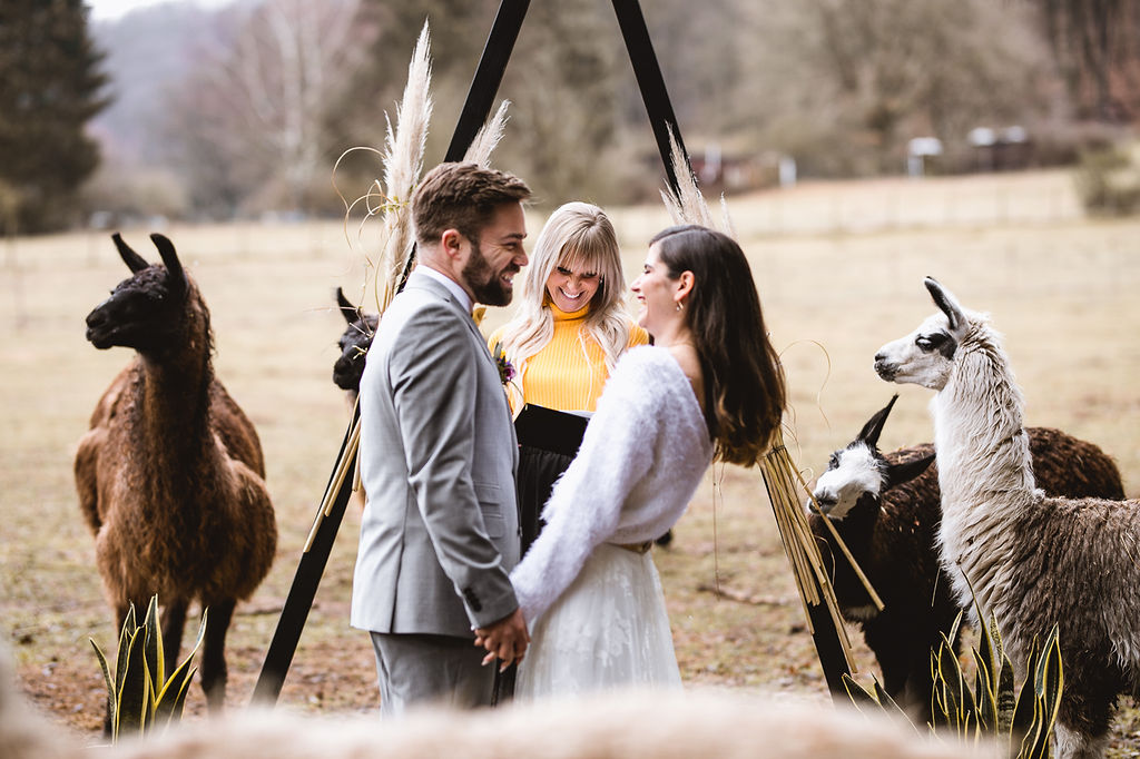 Alpaka Love Wedding Styled Shoot Annika und Gabriel Fotografie